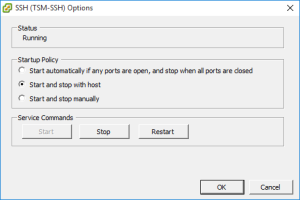 vmware-ssh-service-3